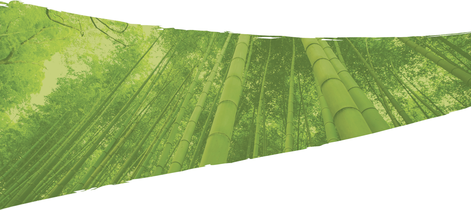 fond slider bamboo